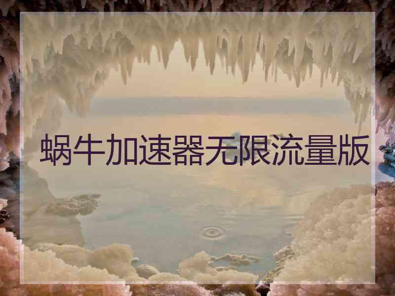 蜗牛加速器无限流量版