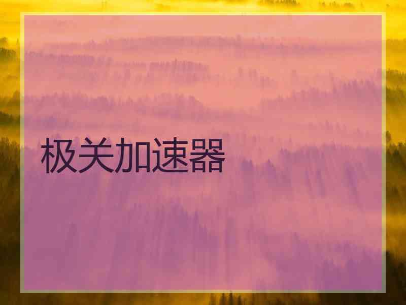 极关加速器