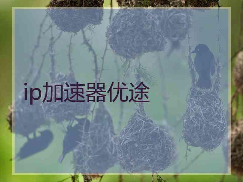 ip加速器优途
