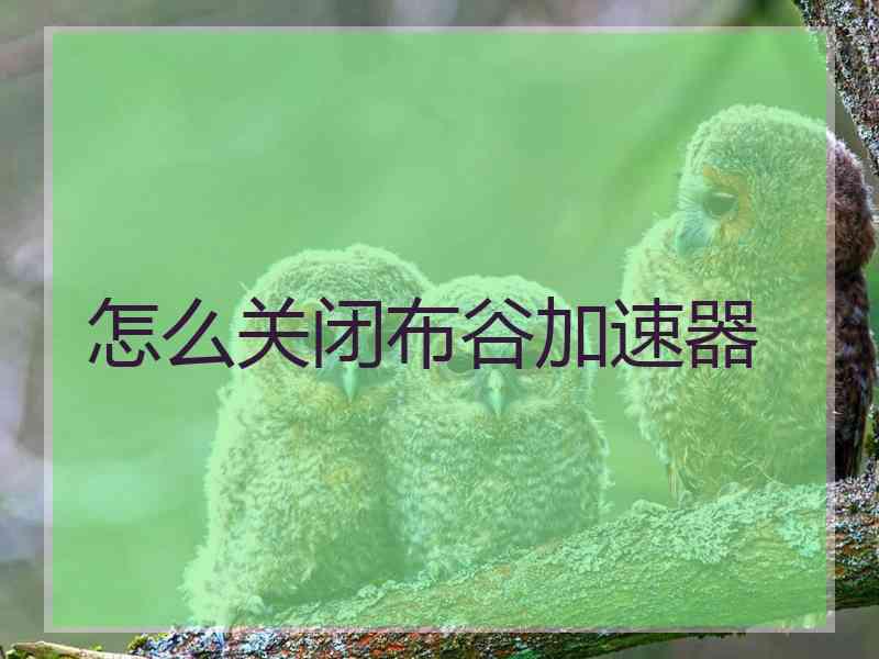 怎么关闭布谷加速器