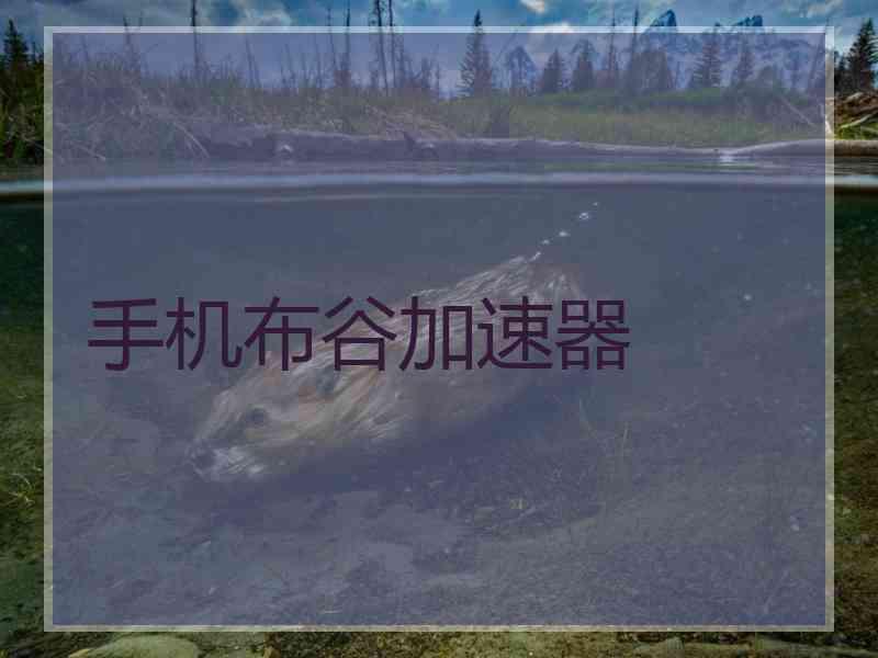 手机布谷加速器