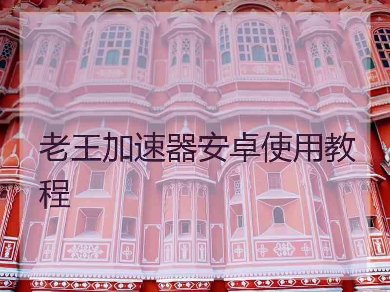 老王加速器安卓使用教程