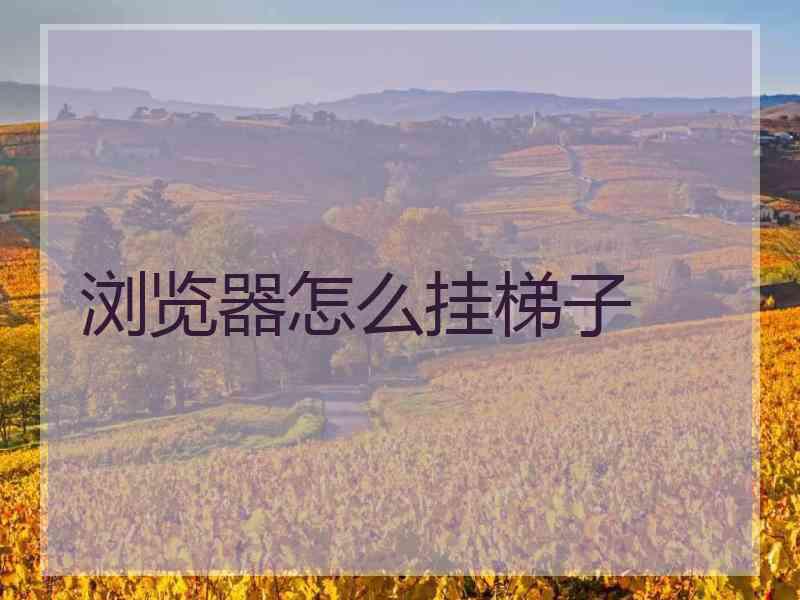 浏览器怎么挂梯子