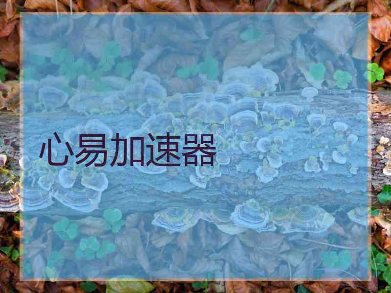 心易加速器