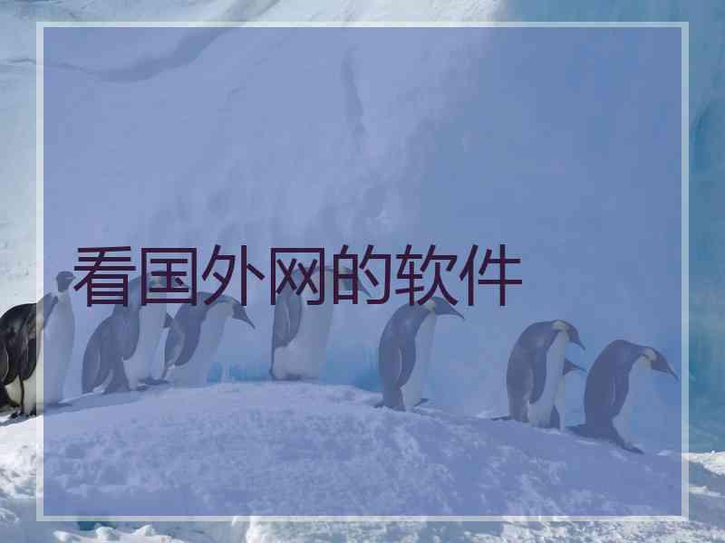 看国外网的软件