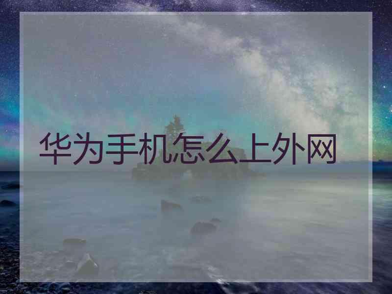 华为手机怎么上外网