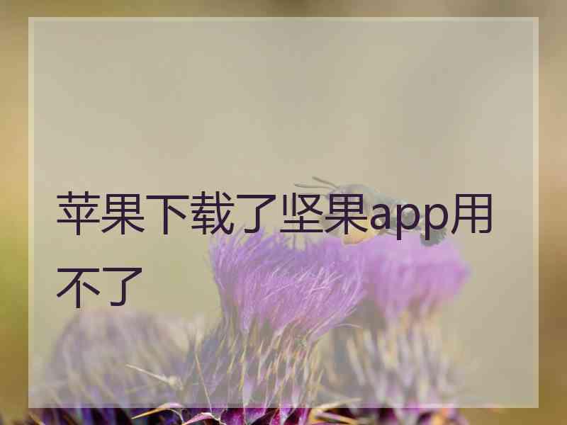 苹果下载了坚果app用不了