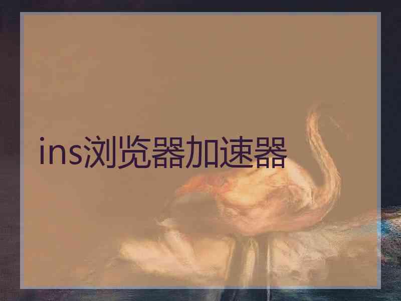 ins浏览器加速器