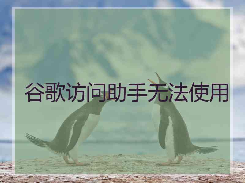 谷歌访问助手无法使用