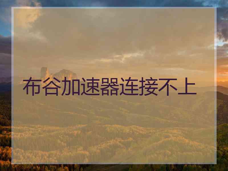 布谷加速器连接不上