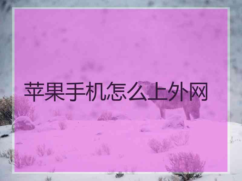 苹果手机怎么上外网