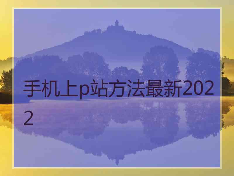 手机上p站方法最新2022