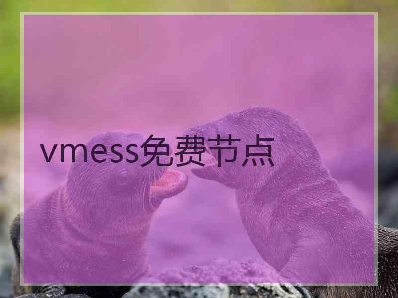vmess免费节点