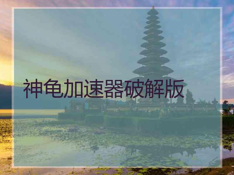 神龟加速器破解版