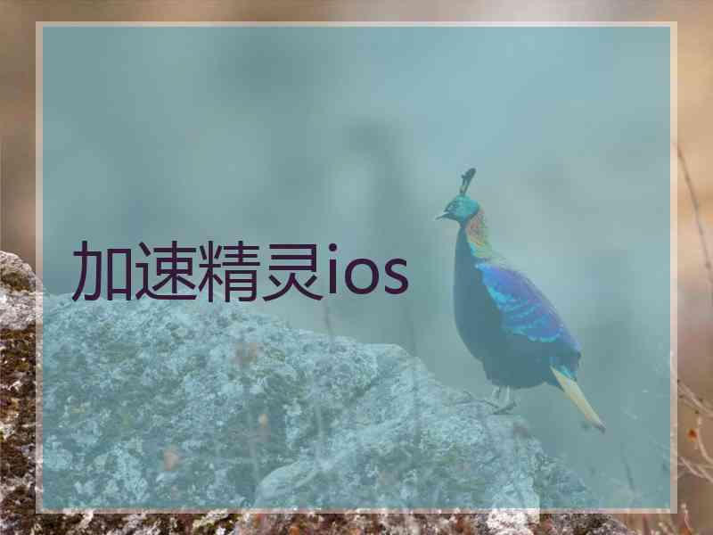 加速精灵ios