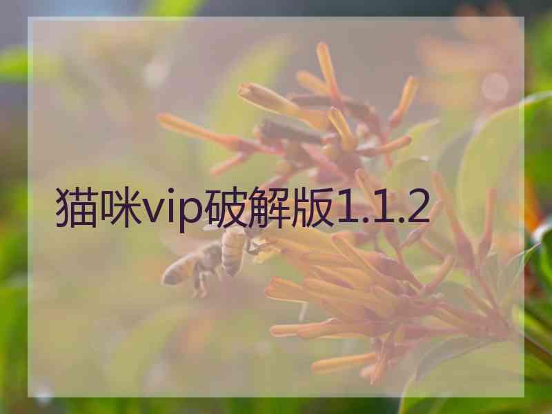 猫咪vip破解版1.1.2