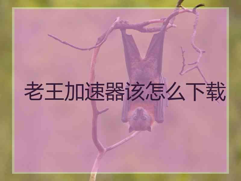 老王加速器该怎么下载