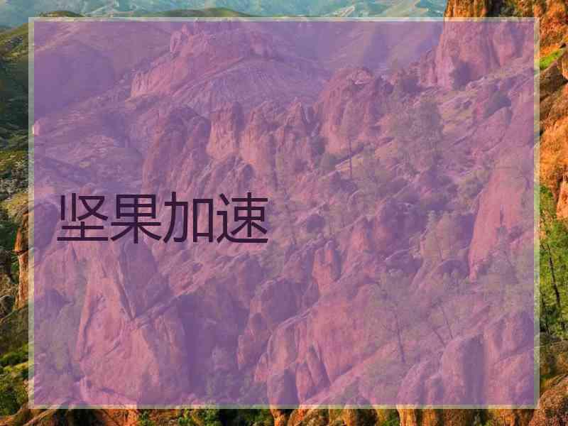 坚果加速