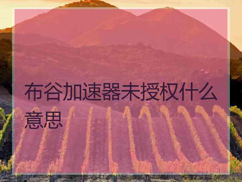布谷加速器未授权什么意思