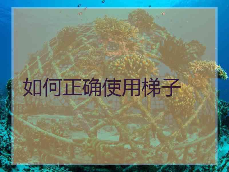 如何正确使用梯子
