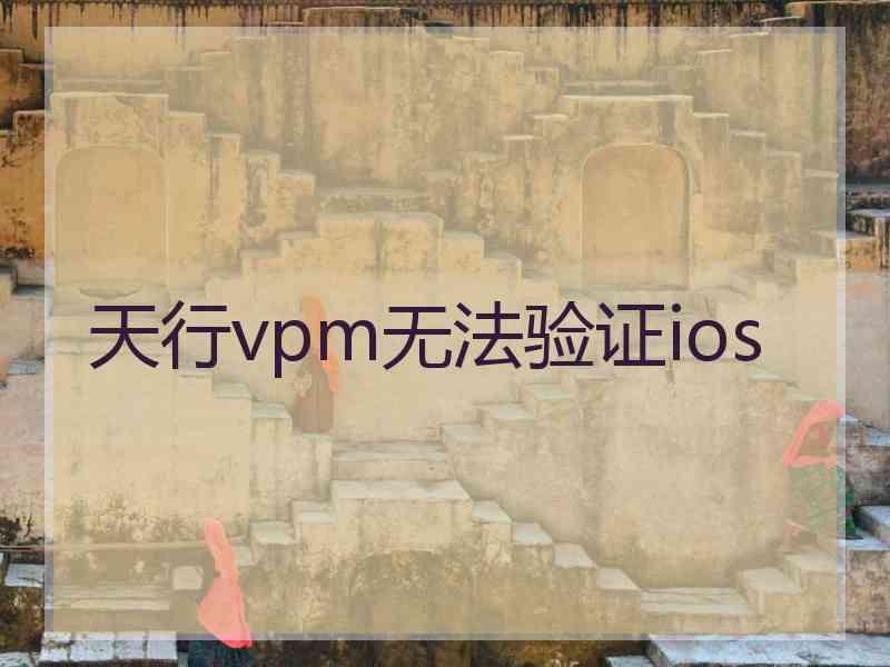 天行vpm无法验证ios