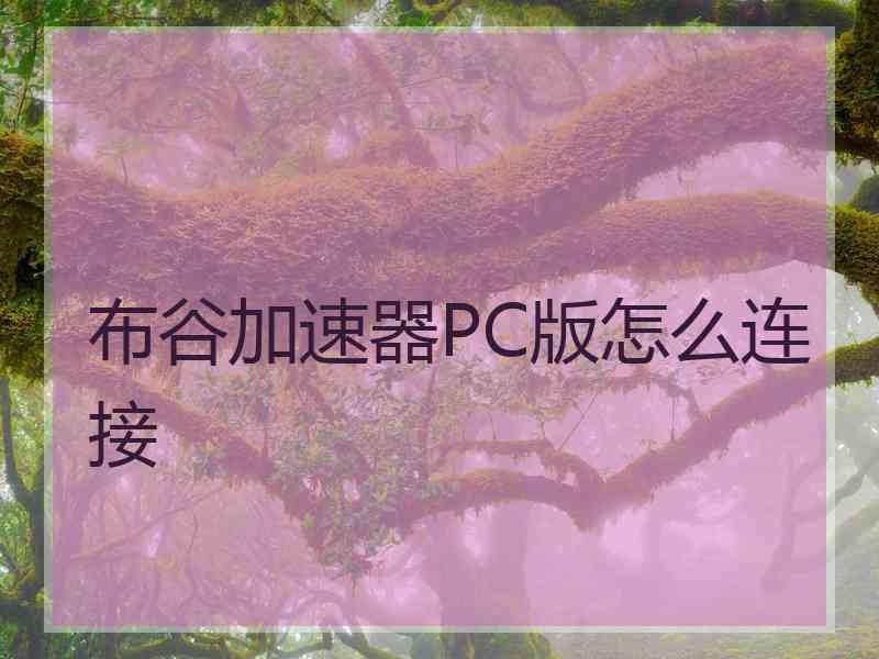 布谷加速器PC版怎么连接
