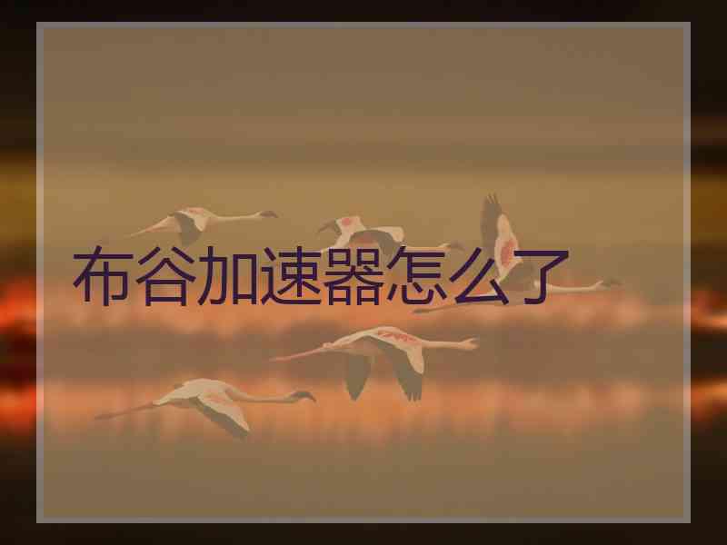 布谷加速器怎么了