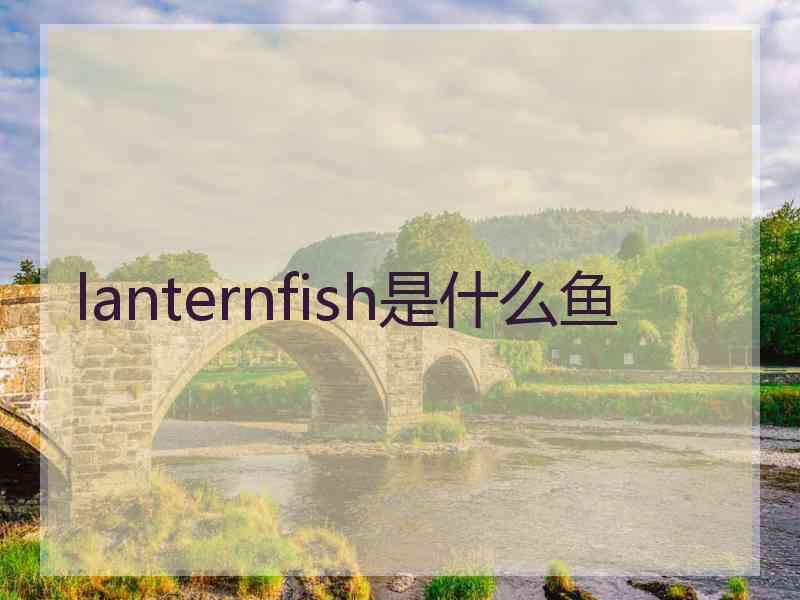 lanternfish是什么鱼