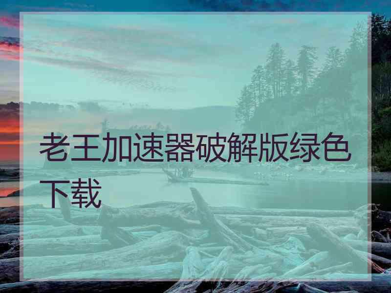 老王加速器破解版绿色下载
