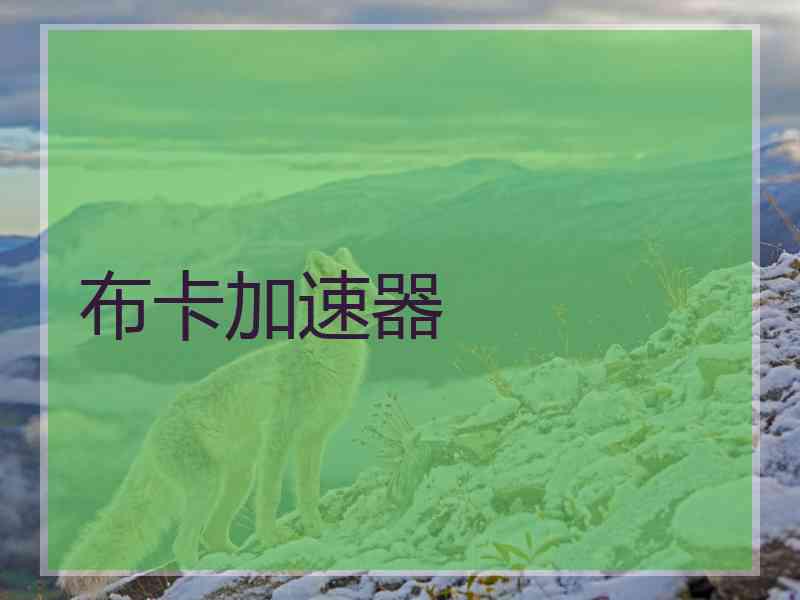 布卡加速器