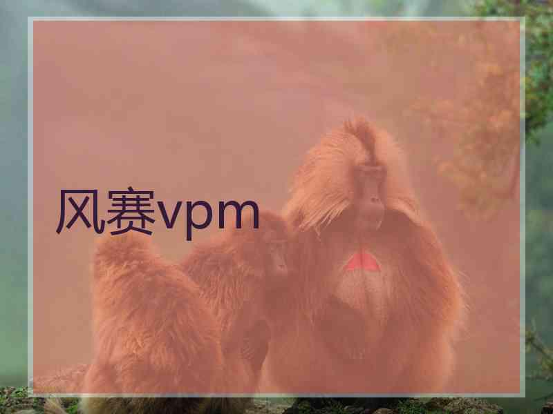 风赛vpm
