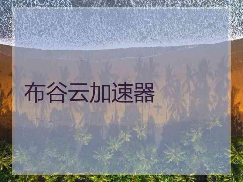 布谷云加速器