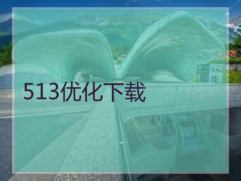 513优化下载