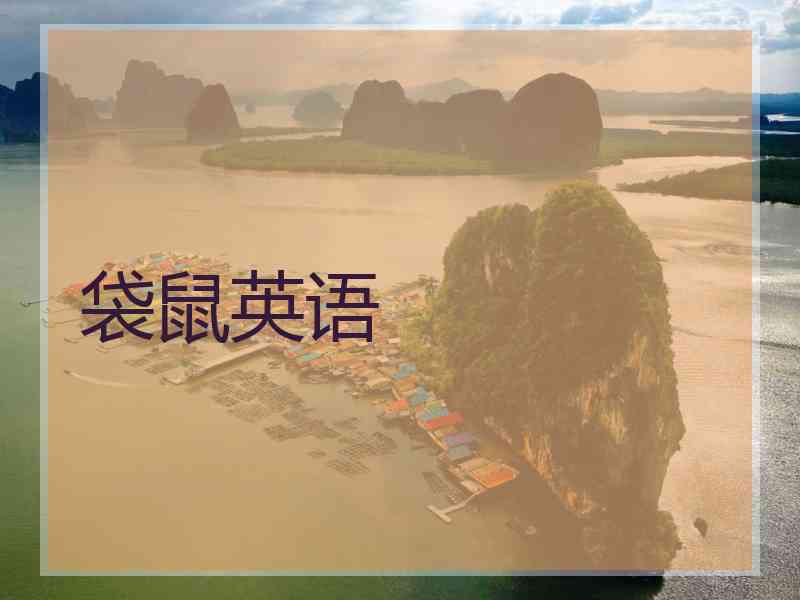 袋鼠英语
