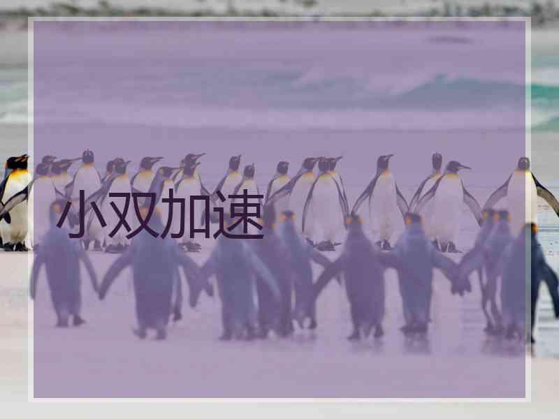 小双加速