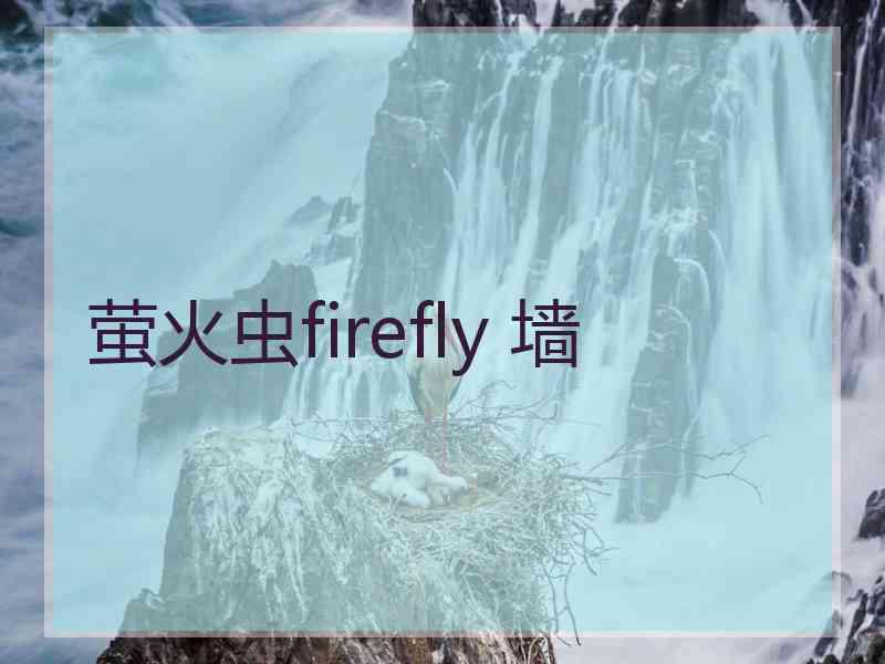 萤火虫firefly 墙