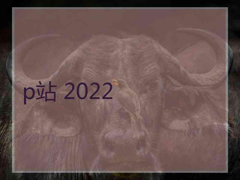 p站 2022