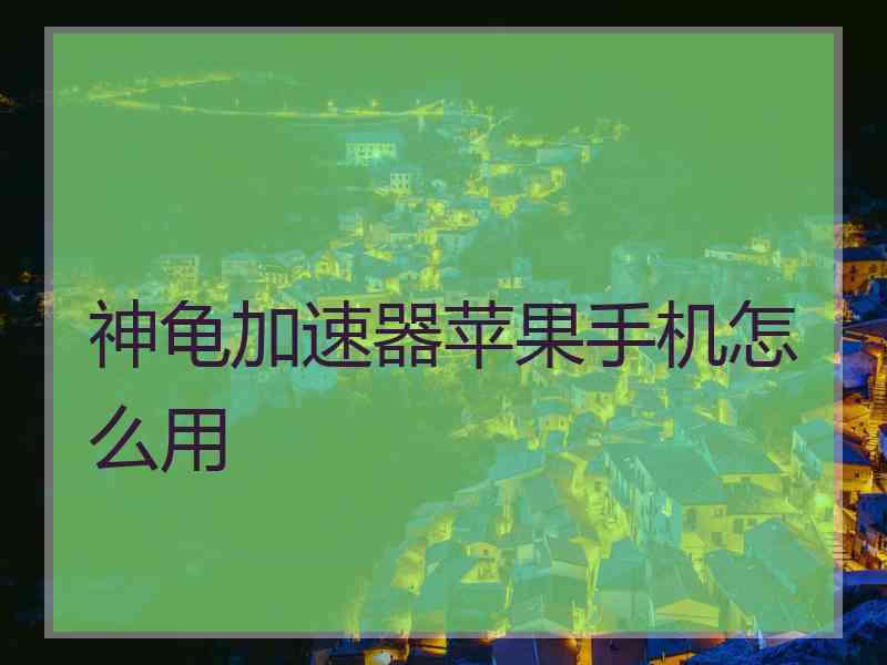神龟加速器苹果手机怎么用