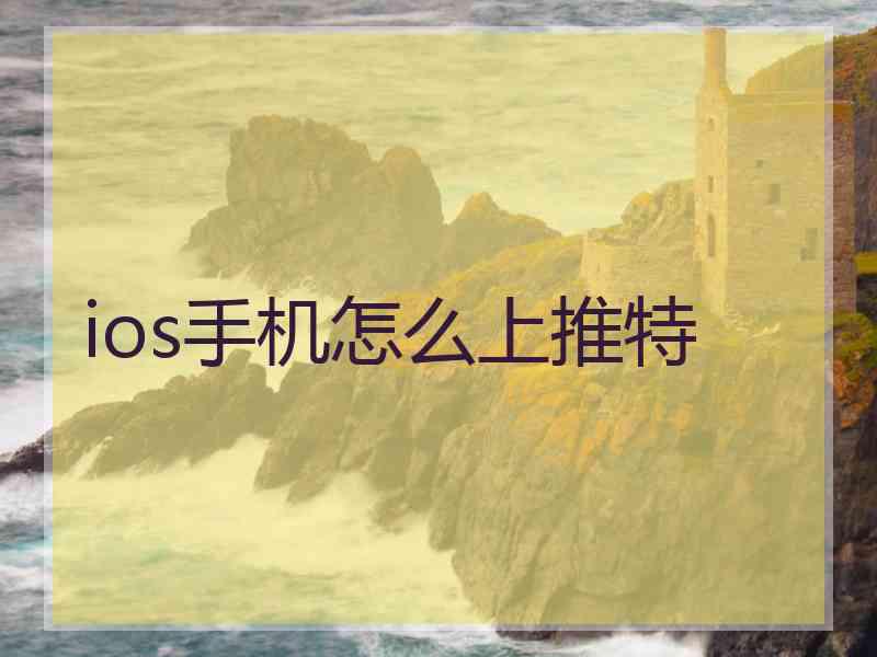 ios手机怎么上推特