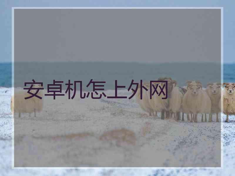 安卓机怎上外网