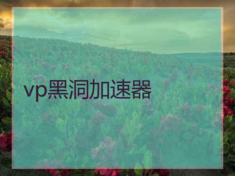 vp黑洞加速器