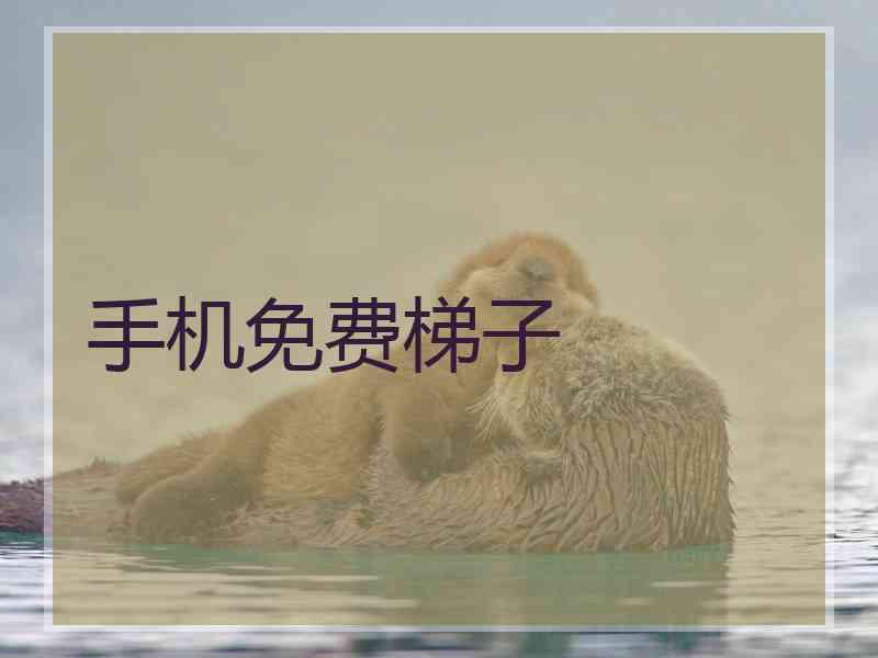 手机免费梯子