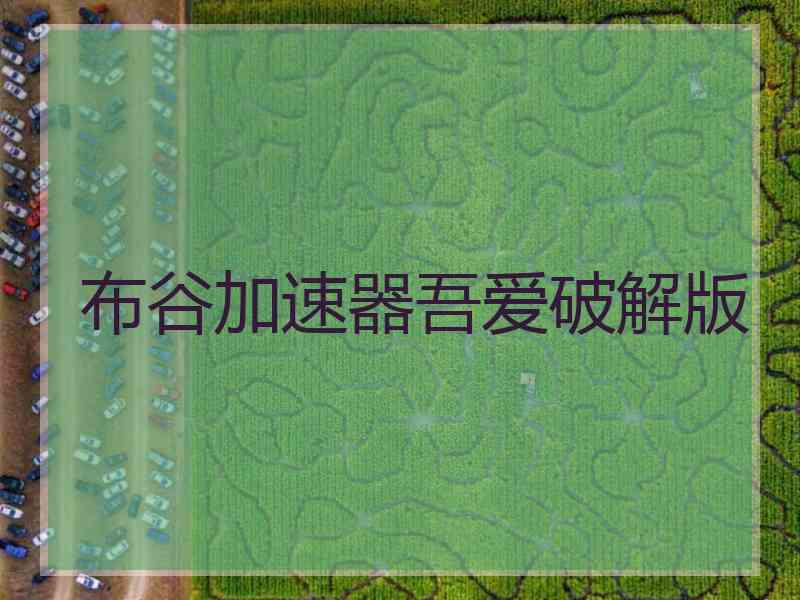 布谷加速器吾爱破解版