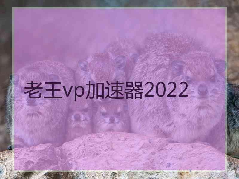 老王vp加速器2022