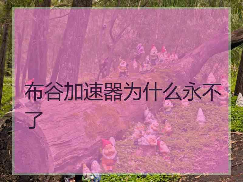 布谷加速器为什么永不了