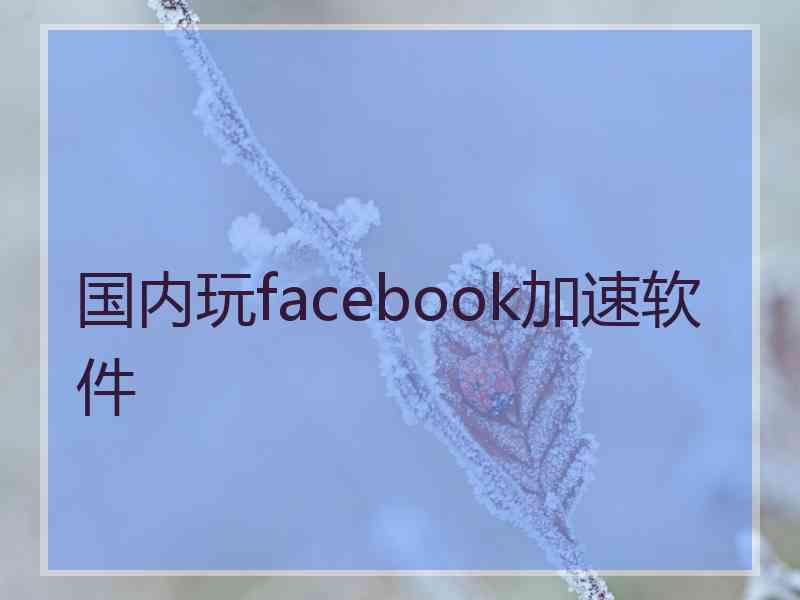 国内玩facebook加速软件
