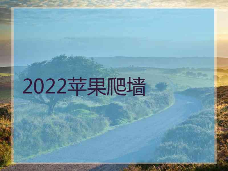 2022苹果爬墙