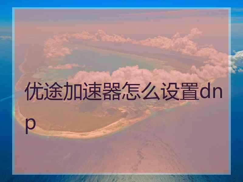 优途加速器怎么设置dnp