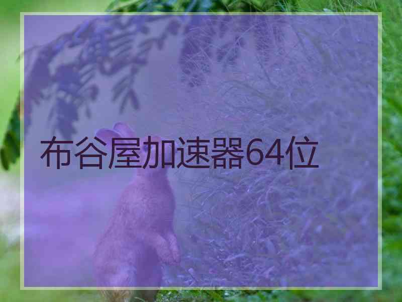 布谷屋加速器64位