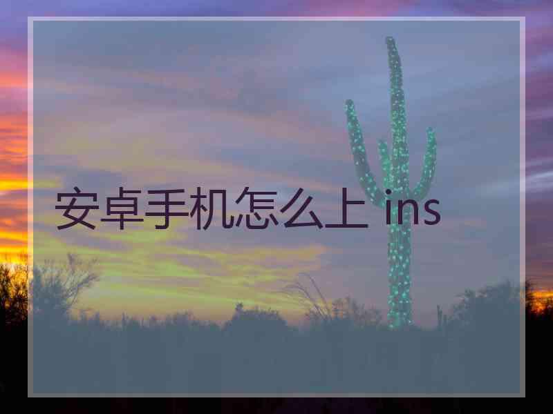安卓手机怎么上 ins
